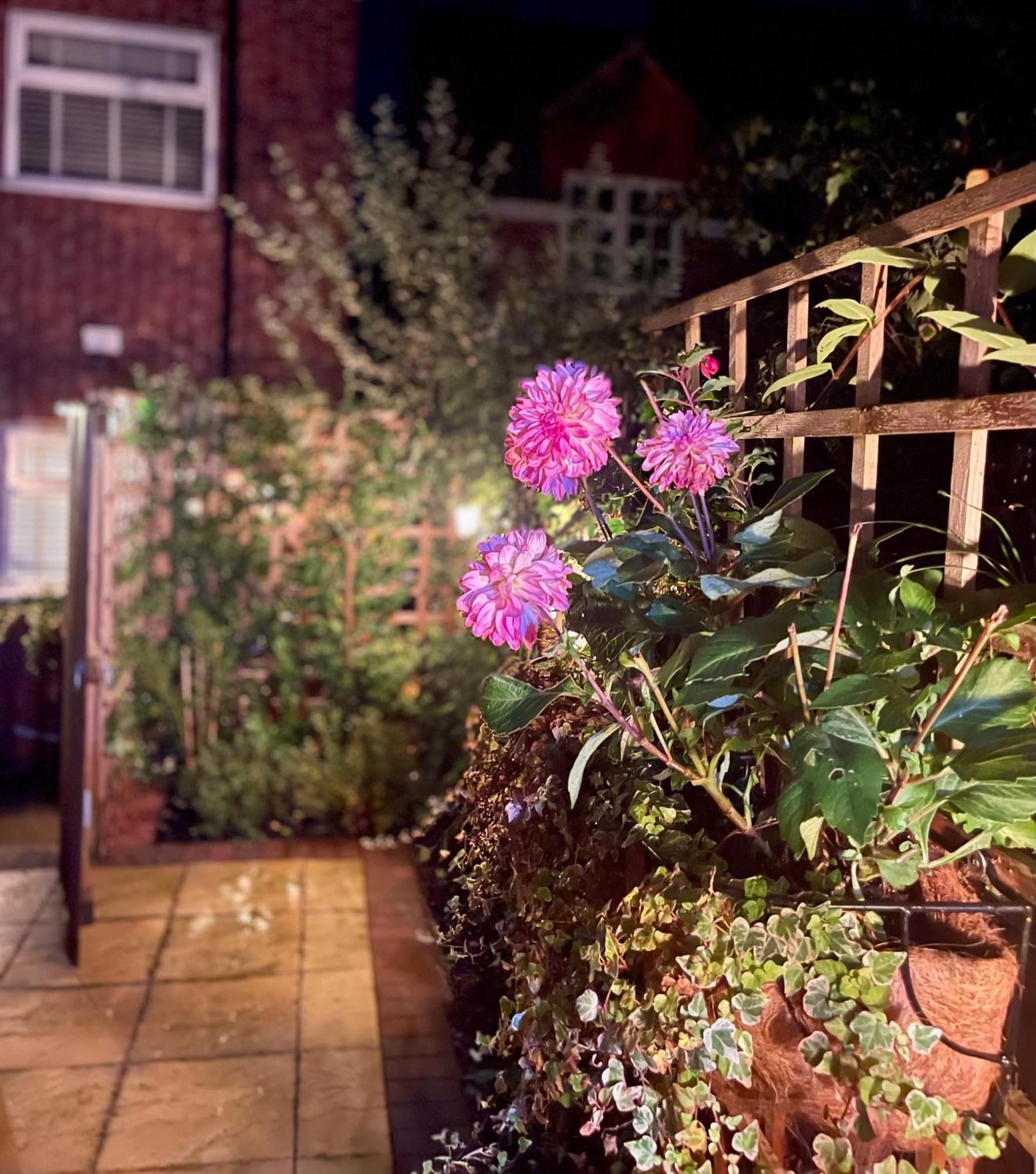 Cosy Cottage Central Bawtry - 2 Bedroom - High End Furnishings Exteriör bild